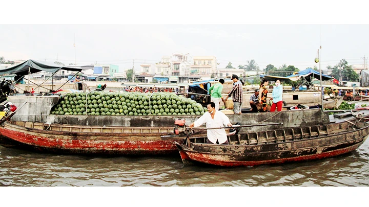 Cuộc sống thương hồ.