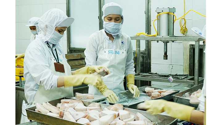 Ngành nông nghiệp đặt mục tiêu xuất khẩu 54 tỷ USD cho năm 2023. Ảnh: NGUYỄN NAM