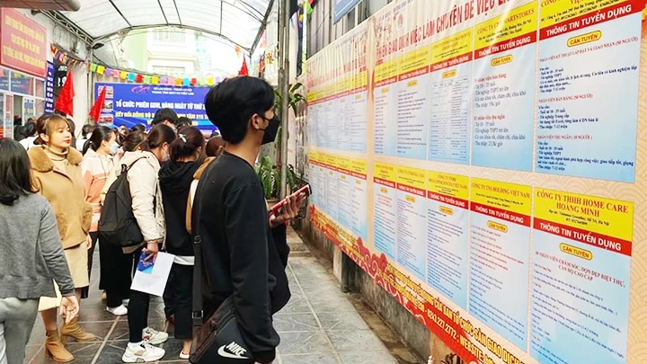 Việc mở nhiều ngành đào tạo tạo sức ép xin việc khi sinh viên ra trường.