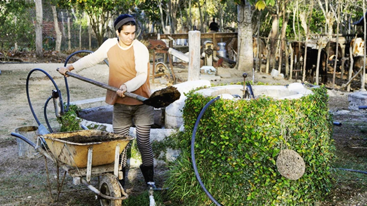 Bể phân hủy sinh học giúp xử lý chất thải nông nghiệp và tạo ra sinh khối. Ảnh: BIOMASS CUBA