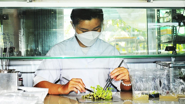 Cần nâng cao mức đãi ngộ các nhà khoa học.