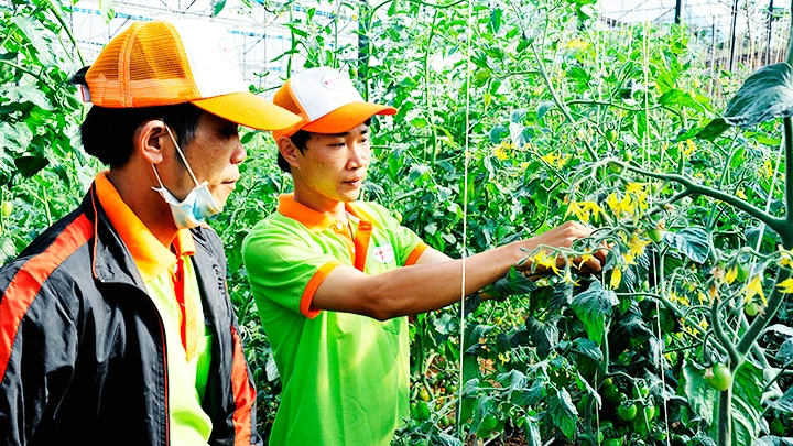 Dòng vốn được ưu tiên cho phát triển sản xuất. Ảnh: NAM ANH