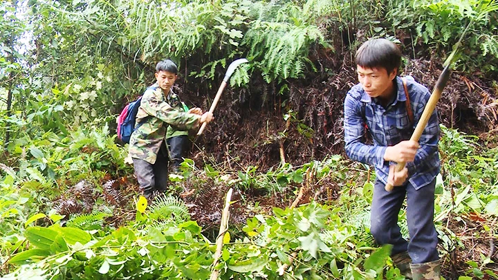 Phát huy "4 tại chỗ" trong công tác bảo vệ rừng.