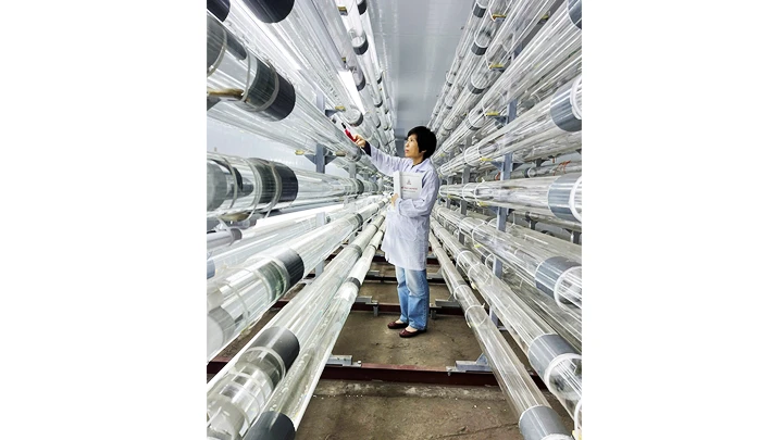 GS, TS Vũ Thị Thu Hà trong phòng thí nghiệm. Ảnh: KIM ĐẠI
