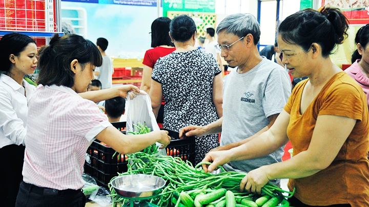 Người dân lựa chọn rau củ quả hữu cơ được giới thiệu tại hội chợ nông sản an toàn. Ảnh: NAM ANH