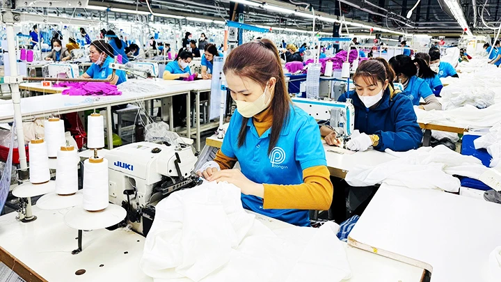Các lĩnh vực may mặc, điện tử, chế biến thủy sản đang chờ người lao động.