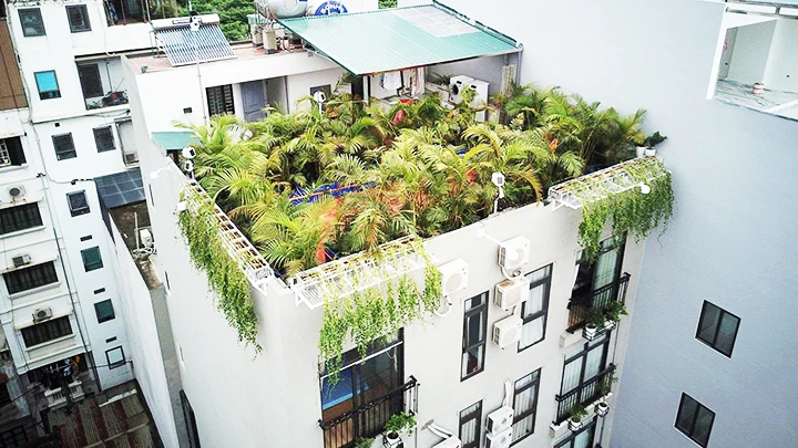 Tòa nhà thí điểm trồng cây xanh và nghiên cứu điều kiện vi khí hậu.