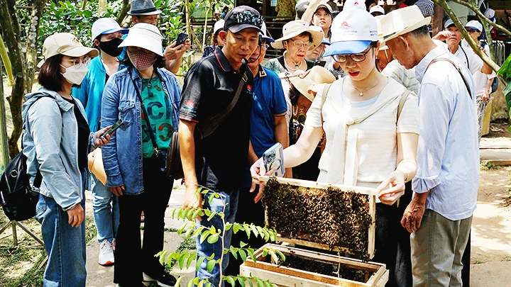 Du lịch sinh thái đang thu hút nhiều khách hàng. Ảnh: SONG ANH