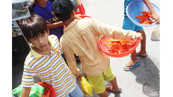 Trẻ em bán sao biển ở Phú Quốc.