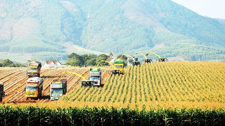 Quy trình chăn nuôi, sản xuất sữa của Tập đoàn TH được áp dụng công nghệ hiện đại với những dữ liệu chính xác.