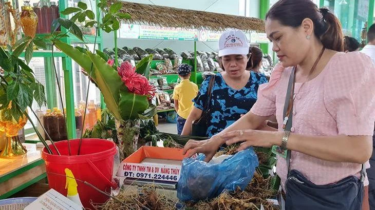 Sâm Ngọc Linh trưng bày tại Lễ hội.