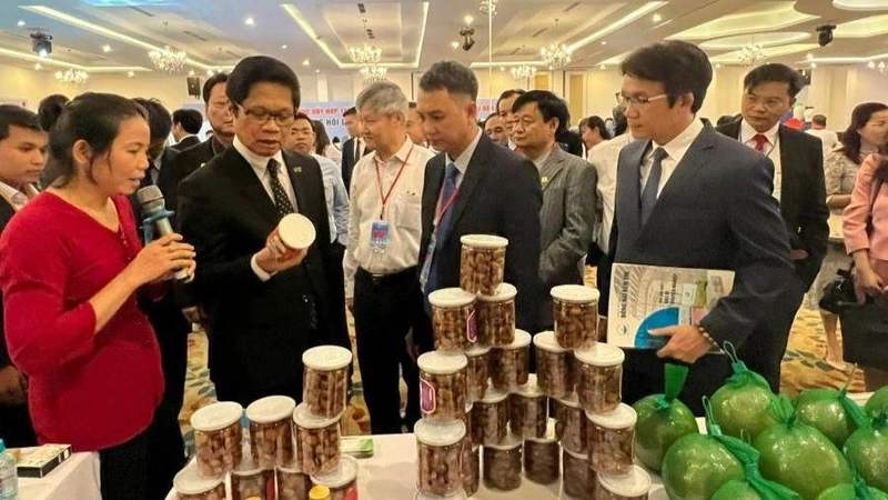 Các đại biểu tham quan sản phẩm của các doanh nghiệp tỉnh Bến Tre và thành phố Thủ Đức.