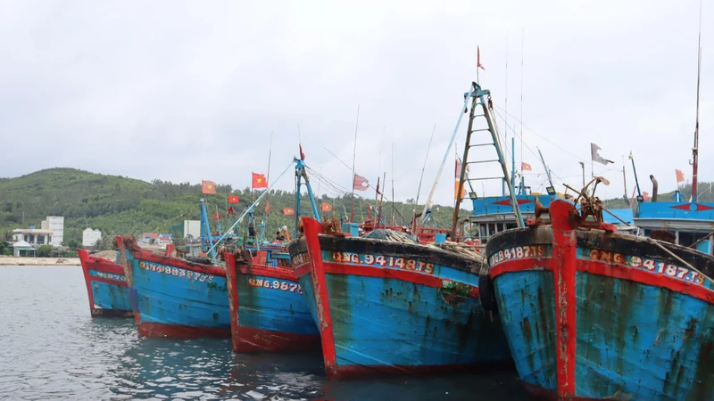 Tàu cá neo đậu tại cảng cá Sa Huỳnh, thị xã Đức Phổ để tránh trú bão số 4.