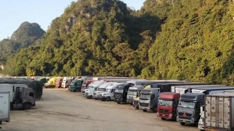 Hàng nghìn xe chở nông sản vẫn đang ùn ứ ở cửa khẩu Tân Thanh, Văn Lãng (Lạng Sơn). (Ảnh minh họa)