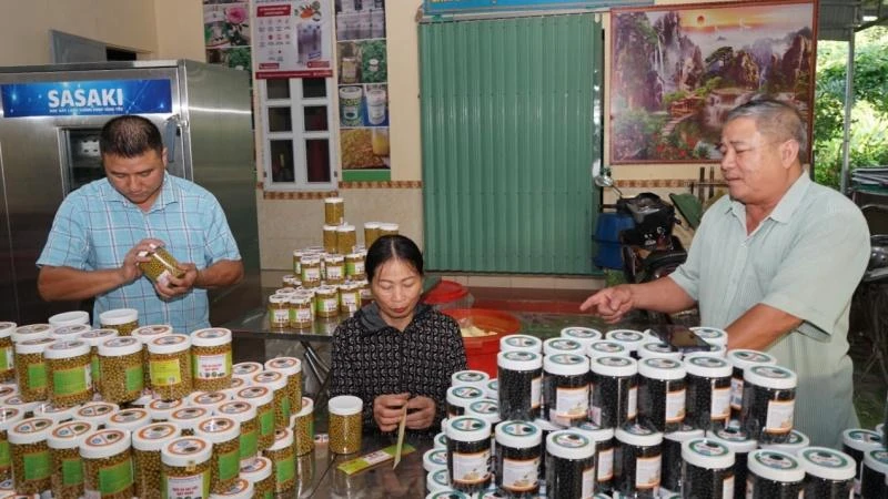Sản phẩm OCOP chất lượng cao ở Hợp tác xã Yên Sơn, Tam Điệp (Ninh Bình).