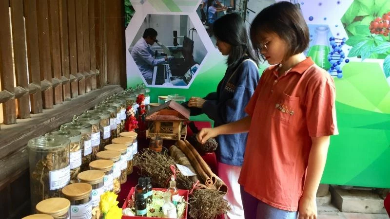 Khách tham quan tìm hiểu trưng bày về các bài thuốc nam, các cây thuốc có ở quanh ta.