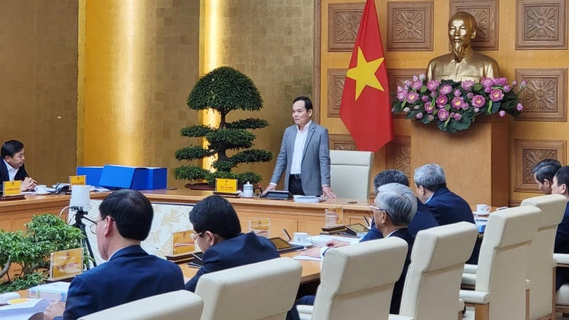 Phó Thủ tướng Chính phủ Trần Lưu Quang phát biểu tại cuộc họp.