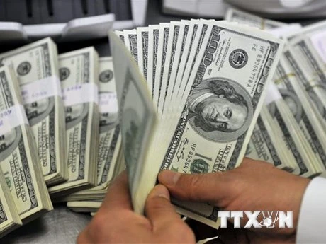 Nhân viên kiểm đồng USD tại một ngân hàng. (Ảnh: AFP/TTXVN)