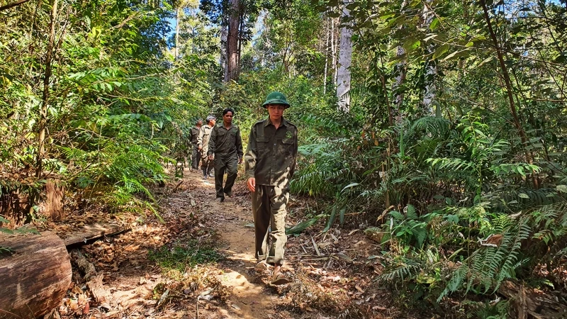 Công nhân Công ty trách nhiệm hữu hạn một thành viên Lâm nghiệp Đăk Tô tuần tra phòng, chống cháy rừng tại địa bàn mình quản lý.