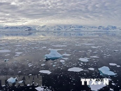 Băng trôi tại Vịnh Chiriguano, quần đảo Nam Shetland, Nam Cực, ngày 7/11/2019. (Ảnh: AFP/TTXVN)