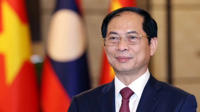 Bộ trưởng Ngoại giao Bùi Thanh Sơn. (Ảnh: TTXVN)