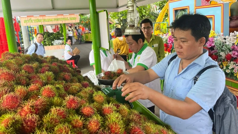 Nhiều loại trái cây đặc sản được giới thiệu tại Lễ hội trái cây Nam Bộ 2023.