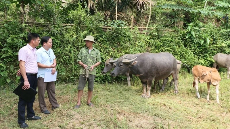 Cán bộ Phòng Giao dịch Ngân hàng Chính sách Xã hội huyện Vị Xuyên kiểm tra việc sử dụng vốn vay theo Nghị quyết 11 tại xã Ngọc Linh. 