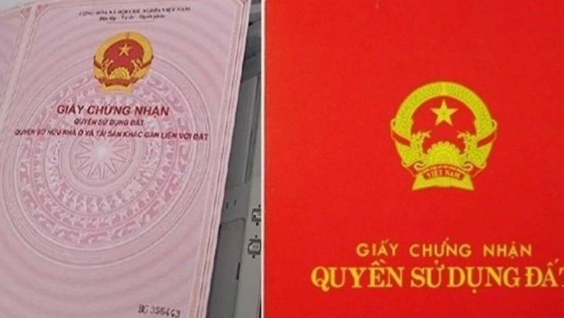 Ảnh minh họa.