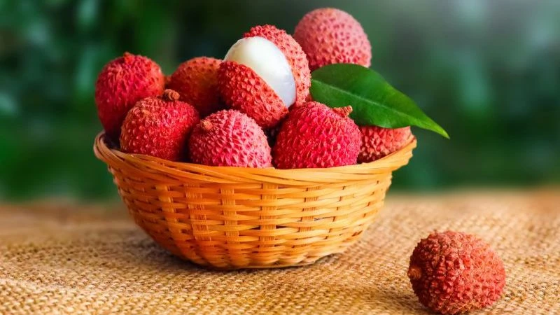 Quả vải Việt Nam đã tiếp cận 7 thị trường quốc tế tại châu Âu (Anh, Pháp, Đức) và châu Á (Nhật Bản, Malaysia, Lào, Campuchia).