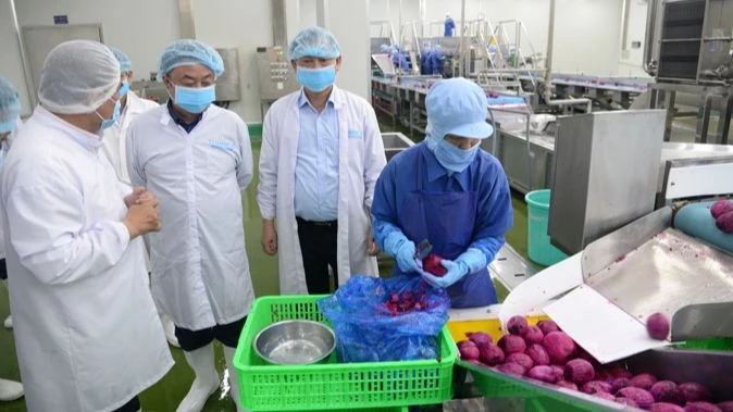 Lãnh đạo Bộ Nông nghiệp và Phát triển nông thôn cùng đoàn công tác đã khảo sát tại Công ty Cổ phần công nghiệp thực phẩm THABICO Tiền Giang.