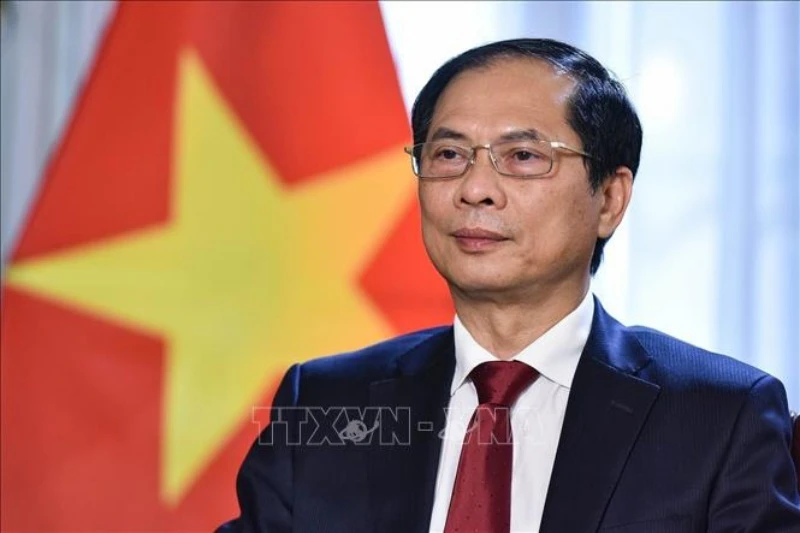 Bộ trưởng Ngoại giao Bùi Thanh Sơn. (Ảnh tư liệu: TTXVN)