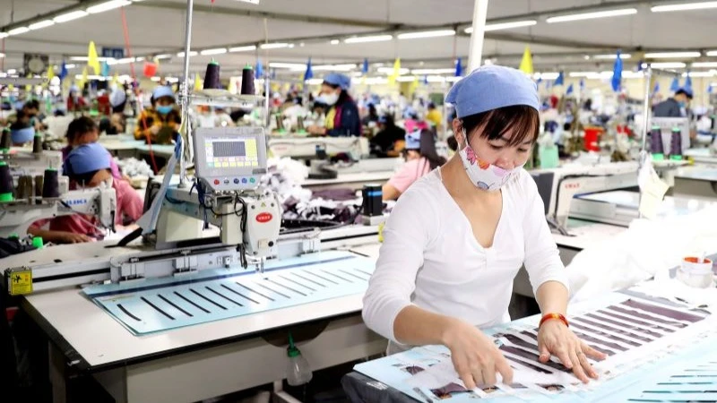 Công ty cổ phần may Tiên Hưng sản xuất hàng dệt may xuất khẩu.