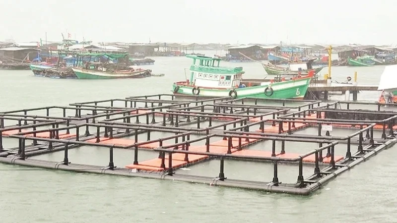 Mô hình nuôi cá trên biển bằng lồng nhựa HDPE.