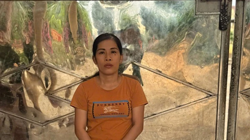 Công an tỉnh Quảng Nam tạm giữ hình sự đối với Nguyễn Thị Hoài để điều tra về hành vi “Giết người”.