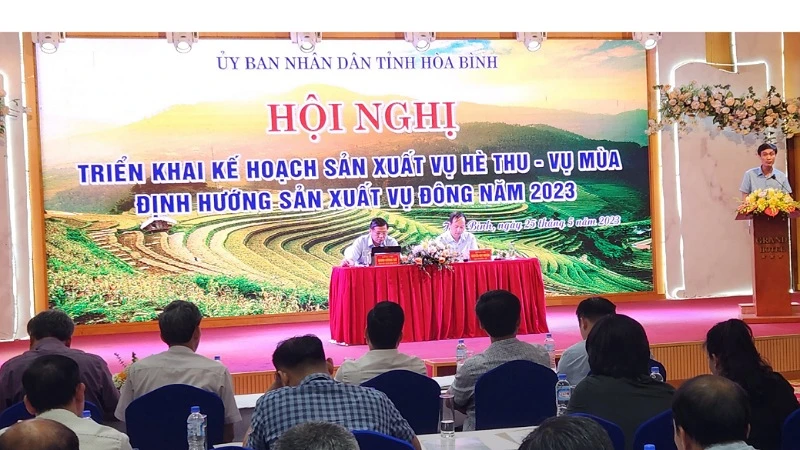 Đông đảo đại biểu các địa phương trong tỉnh tham dự hội nghị.