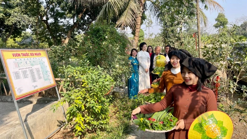 Các đại biểu tham gia trải nghiệm thiền hành hái thuốc trong "Vườn thuốc đời người Đền Thánh Nguyễn".