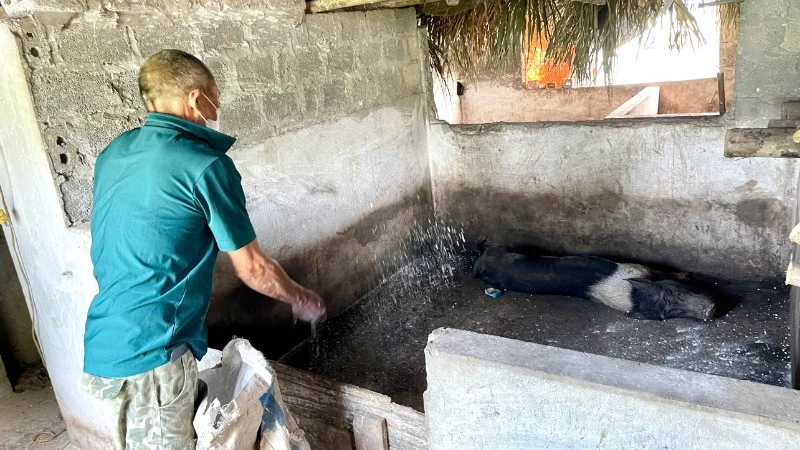 Gia đình ông Nguyễn Hữu Luật ở thôn Giá Thượng, xã Gia Hòa, huyện Gia Viễn, tỉnh Ninh Bình thực hiện công tác tiêu độc khử trùng chuồng trại phòng, chống dịch tả lợn châu Phi. 