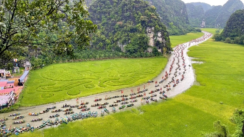 Cánh đồng Tam Cốc năm nay được tạo hình bức tranh "Cá chép vượt vũ môn".