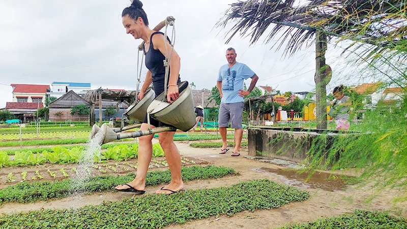 Tập làm nông dân ở Trà Quế. 