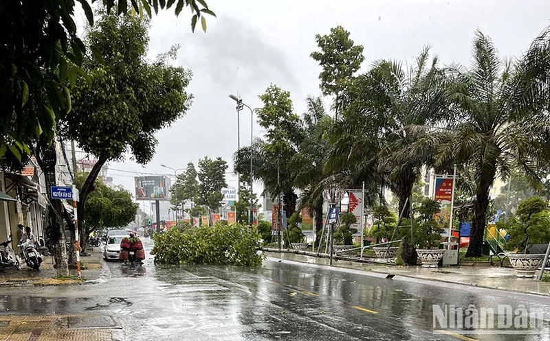 Mưa lớn gây đổ ngã cây xanh trên đường phố Sóc Trăng.