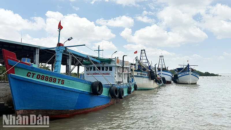 100% tàu cá Sóc Trăng đã lắp đặt thiết bị giám sát hành trình