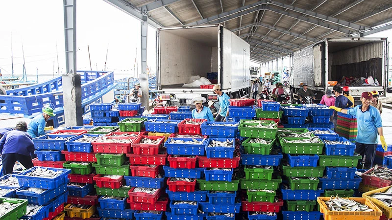 Quy hoạch hàng hóa thông qua Cảng biển Sóc Trăng từ 30,7 triệu tấn đến 41,2 triệu tấn.