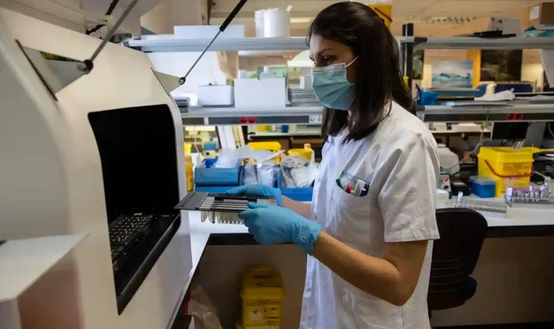 Xét nghiệm các mẫu bệnh phẩm nghi ngờ nhiễm virus đậu mùa ở khỉ ở Madrid, Tây Ban Nha. (Ảnh: Getty Images)