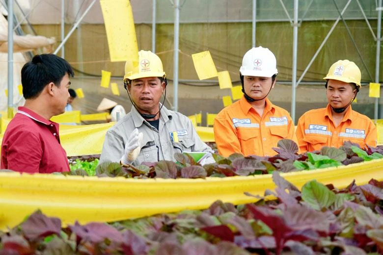 Công nhân ngành điện miền nam tuyên truyền sử dụng điện an toàn, tiết kiệm phục vụ phát triển nông nghiệp. (Ảnh: EVNSPC)