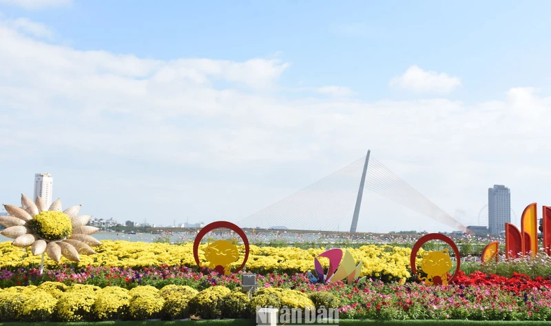 Giọt nhớ thiên thanh với hoa cỏ mùa xuân thành phố.