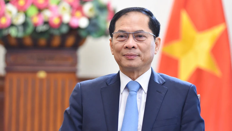 Phó Thủ tướng Chính phủ, Bộ trưởng Ngoại giao Bùi Thanh Sơn. (Ảnh: Báo Thế giới và Việt Nam) 