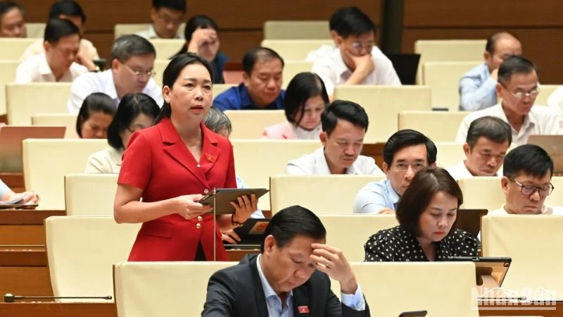 Đại biểu Lý Tiết Hạnh (Bình Định) phát biểu. (Ảnh: BÙI GIANG) 