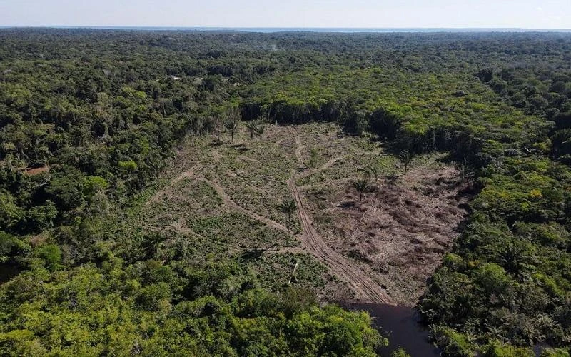Một khu vực rừng Amazon bị tàn phá ở bang Amazonas, Brazil. (Ảnh: Reuters)