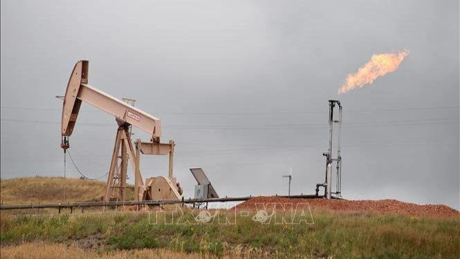 Đường ống dẫn khí đốt ở Williston, North Dakota, Mỹ. (nh: AFP/TTXVN)