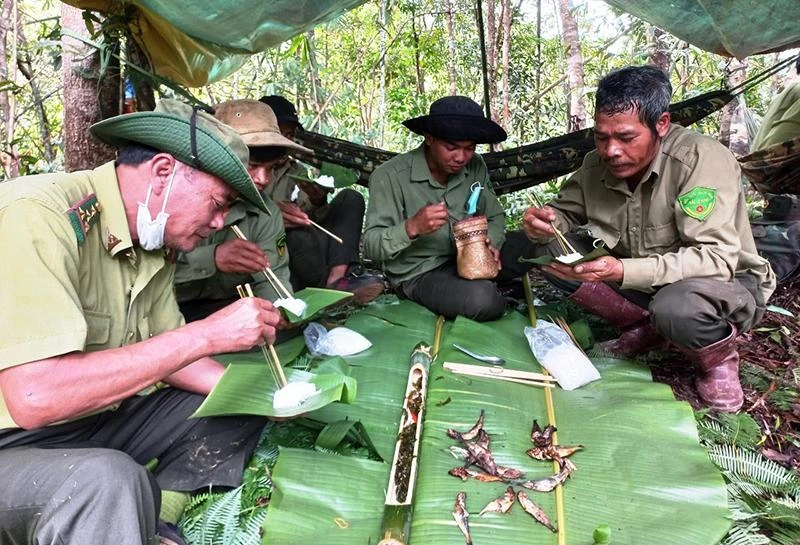 Những bữa cơm thường nhật của lực lượng bảo vệ rừng Vườn quốc gia Tà Đùng.